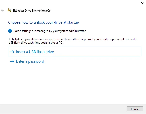 Startup unlock options including TPM PIN or password